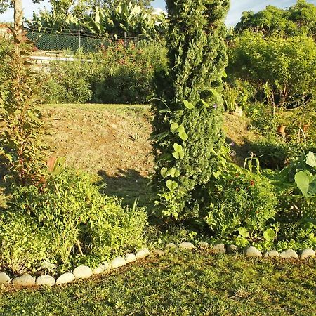 Rochas Shared Apart Garden Refuge Funchal  Exterior photo